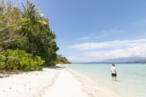 nature kusu